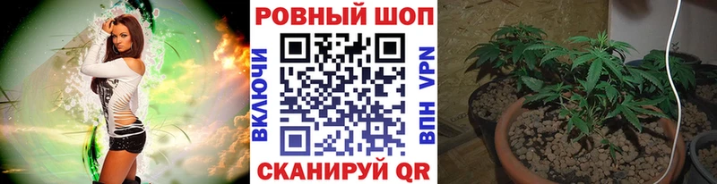 Где найти наркотики Лесосибирск Марихуана OMG как войти A PVP Псилоцибиновые грибы Бутират ГАШ Меф