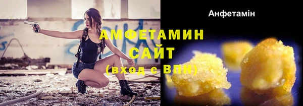 ПСИЛОЦИБИНОВЫЕ ГРИБЫ Осинники