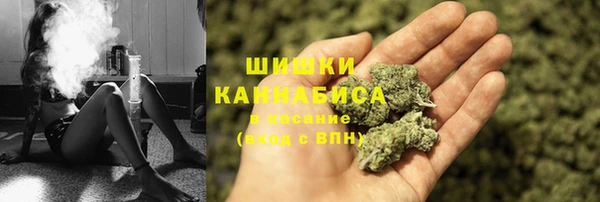 крисы Осташков