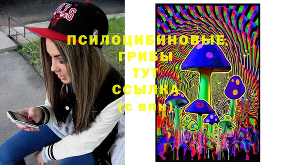 стафф Балахна