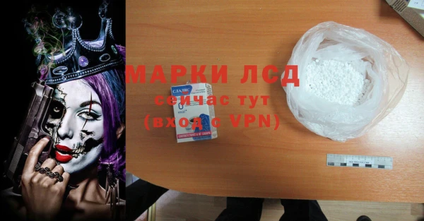 эйфоретик Баксан
